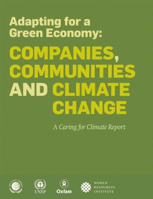 Adapting for a Green Economy: Companies, Communities and Climate Ch Ange a Caring for Climate Report 2 Name of Publication