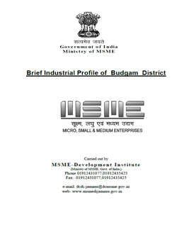 Brief Industrial Profile of Budgam District