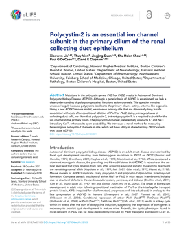 Polycystin-2 Is an Essential Ion Channel Subunit in the Primary Cilium of the Renal Collecting Duct Epithelium