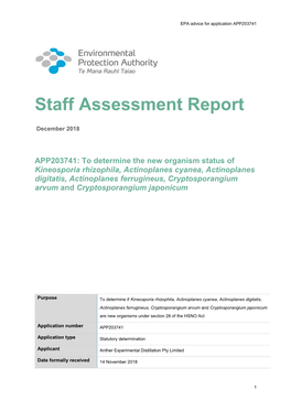 APP203741 Staff Assessment Report.Pdf