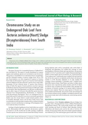 Chromosome Study on an Endangered Oak Leaf Fern Tectaria Zeilanica (Houtt) Sledge (Dryopteridaceae) from South India