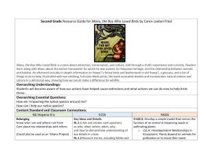 Second Grade Resource Guide for Manu, the Boy Who Loved Birds by Caren Loebel-Fried
