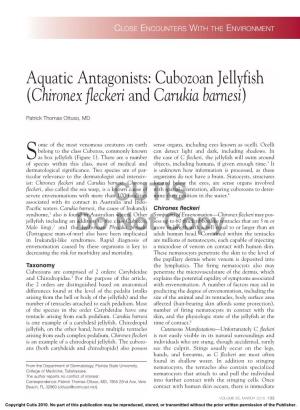 Cubozoan Jellyfish (Chironex Fleckeri and Carukia Barnesi)