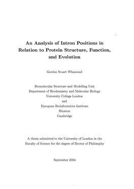 An Analysis of Intron Positions in Relation to Protein Structure, Function, and Evolution
