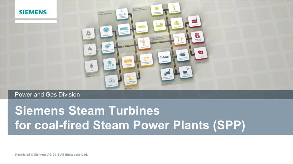 Coal-Fired Steam Power Plants (SPP)