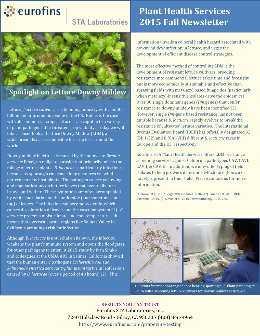 Spotlight on Lettuce Downy Mildew Spraying Fields with Metalaxyl Based Fungicides (Particularly When Metalaxyl-Insensitive Isolates Drive the Epidemics)