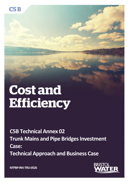 C5B Technical Annex 02 Trunk Mains and Pipe Bridges Investment Case: Technical Approach and Business Case