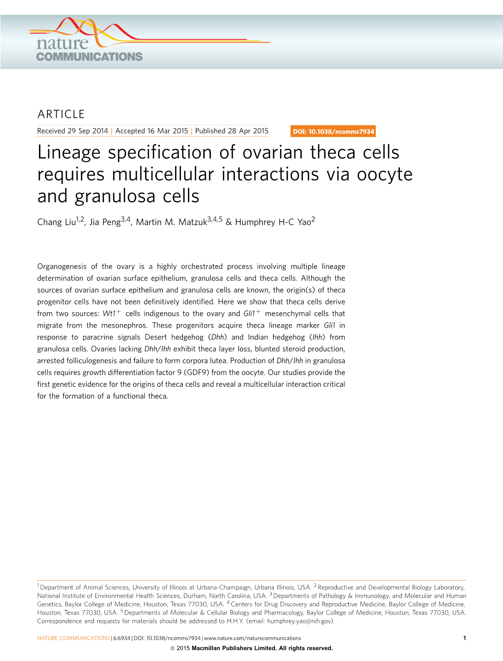 Lineage Specification of Ovarian Theca Cells Requires Multicellular Interactions Via Oocyte and Granulosa Cells