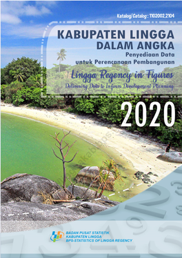 Kabupaten Lingga Dalam Angka 2020, Penyediaan Data Untuk