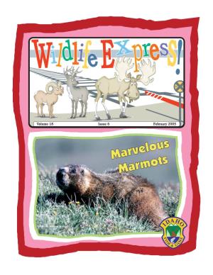 February 2005 Wildlife Express