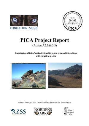 PICA Project Report (Action A2.2 & 2.3)