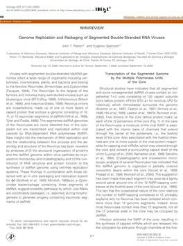 Genome Replication and Packaging of Segmented Double-Stranded RNA Viruses
