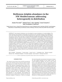 Bottlenose Dolphin Abundance in the NW Mediterranean: Addressing Heterogeneity in Distribution