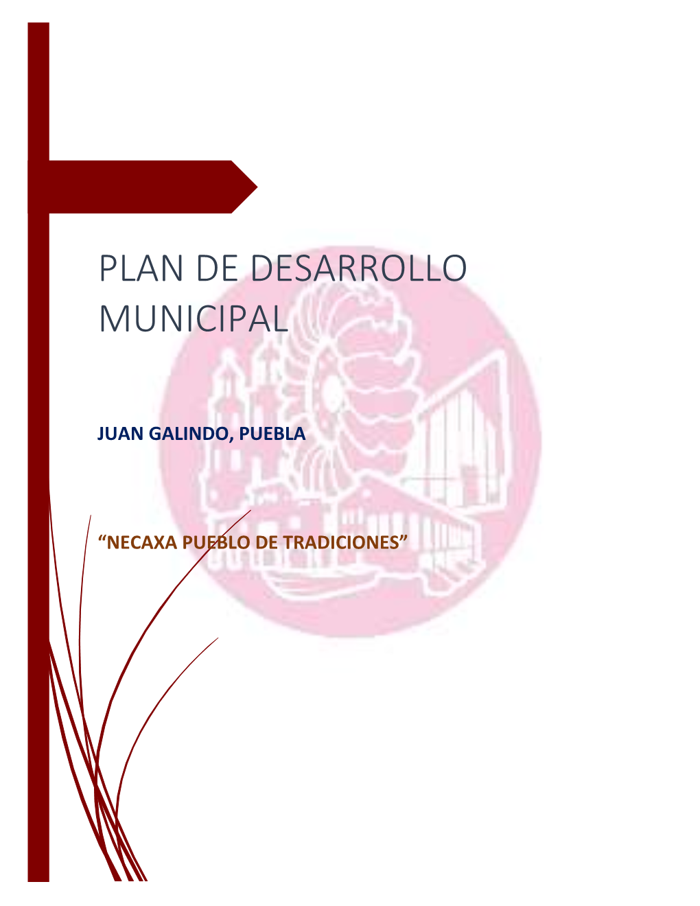 Plan De Desarrollo Municipal