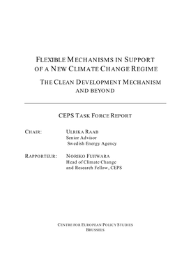 Flexible Mechanisms in Support of a New Climate Change Regime