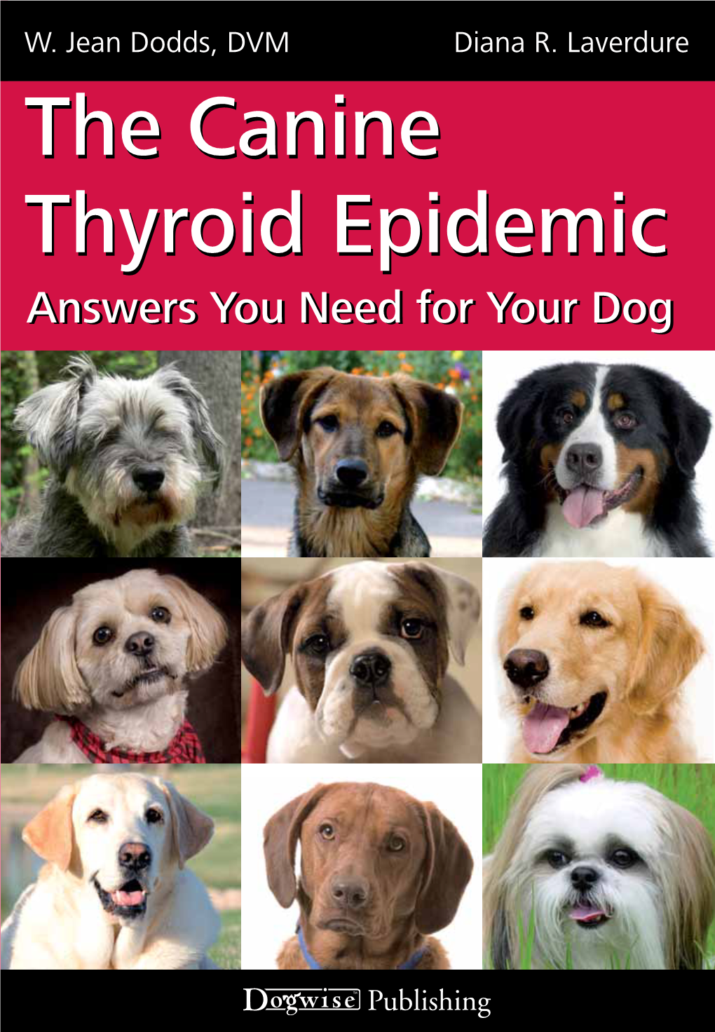 The Canine Thyroid Epidemic: Answers You Need for Your