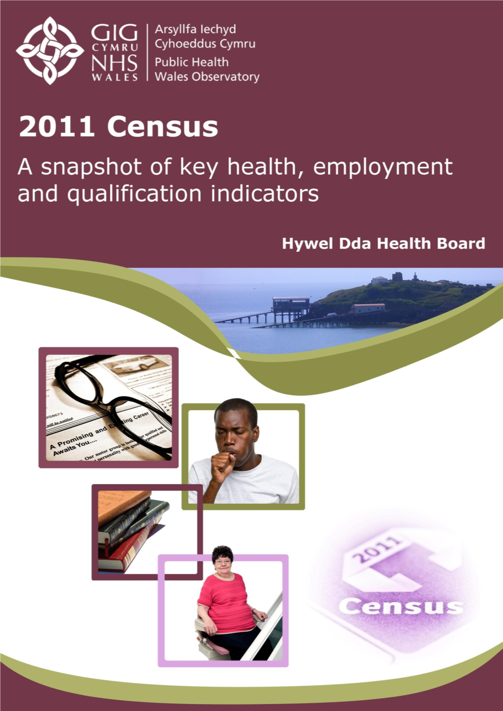 2011 Census Profile Hywel Dda V2a.Pdf