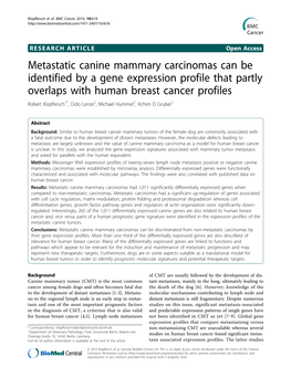 Metastatic Canine Mammary Carcinomas Can Be Identified by A
