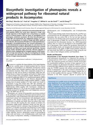 Biosynthetic Investigation of Phomopsins Reveals a Widespread Pathway for Ribosomal Natural Products in Ascomycetes