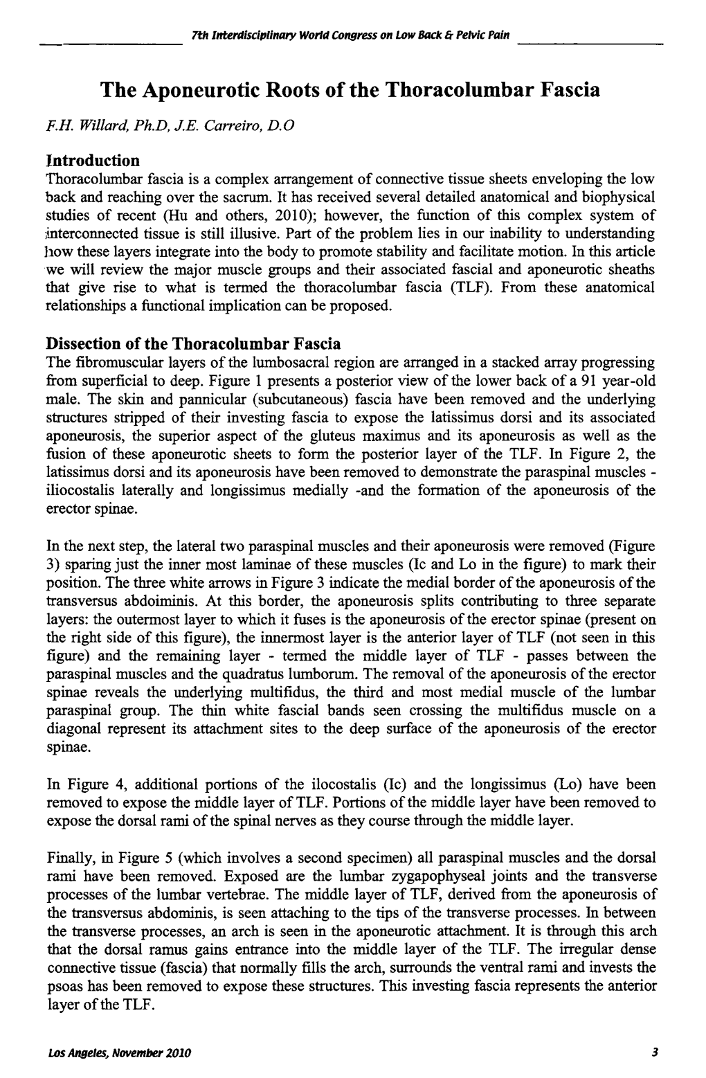 The Aponeurotic Roots of the Thoracolumbar Fascia