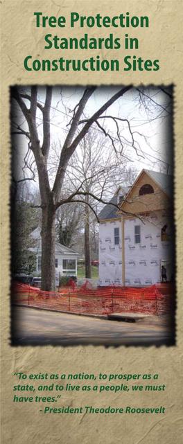 Tree Protection Standards in Construction Sites