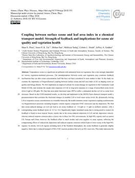 Coupling Between Surface Ozone and Leaf Area Index in a Chemical