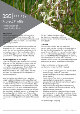 Translocation of Lizard Orchid, Kent – Project Profile