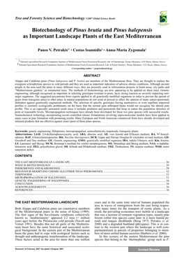 Biotechnology of Pinus Brutia and Pinus Halepensis As Important Landscape Plants of the East Mediterranean