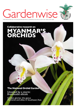 MYANMAR's Orchids