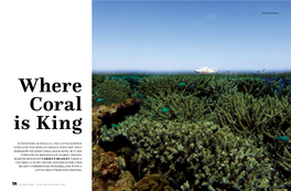 In Western Australia, the Little-Known Atolls of the Rowley Shoals Have Not Only Somehow Escaped Coral Bleaching, but Are Thriving in Defiance of Global Trends
