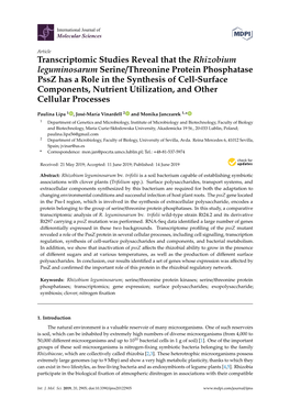 Transcriptomic Studies Reveal That the Rhizobium Leguminosarum Serine