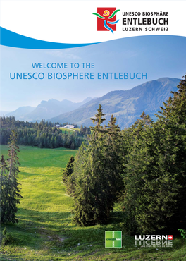 UNESCO BIOSPHERE ENTLEBUCH Grimselpass Schreckhorn Finsteraarhorn Fiescherhorn Eiger Mönch Jungfrau Blüemlisalp Balmhorn Wildstrubel Wildhorn