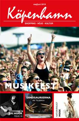 Mega Musikfest