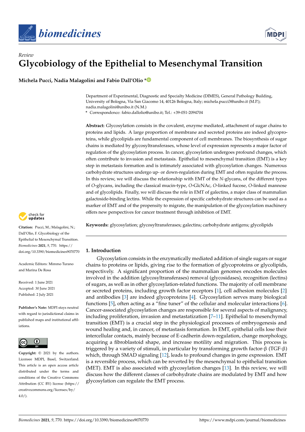 Glycobiology of the Epithelial to Mesenchymal Transition