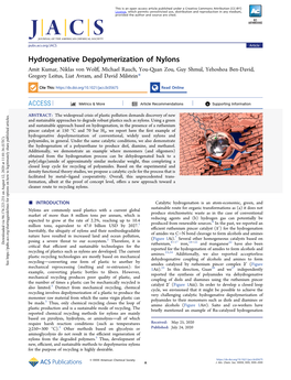 Hydrogenative Depolymerization of Nylons