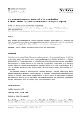 Zootaxa,A New Species of Deep-Water Spider Crab