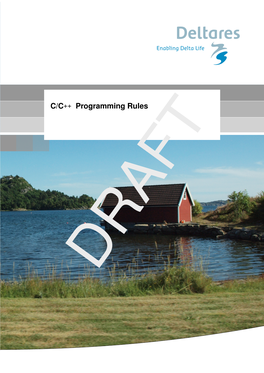 C/C++ Programming Rules