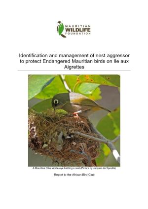 Identification and Management of Nest Aggressor to Protect Endangered Mauritian Birds on Ile Aux Aigrettes