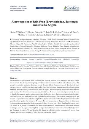 A New Species of Rain Frog (Brevicipitidae, Breviceps) Endemic to Angola