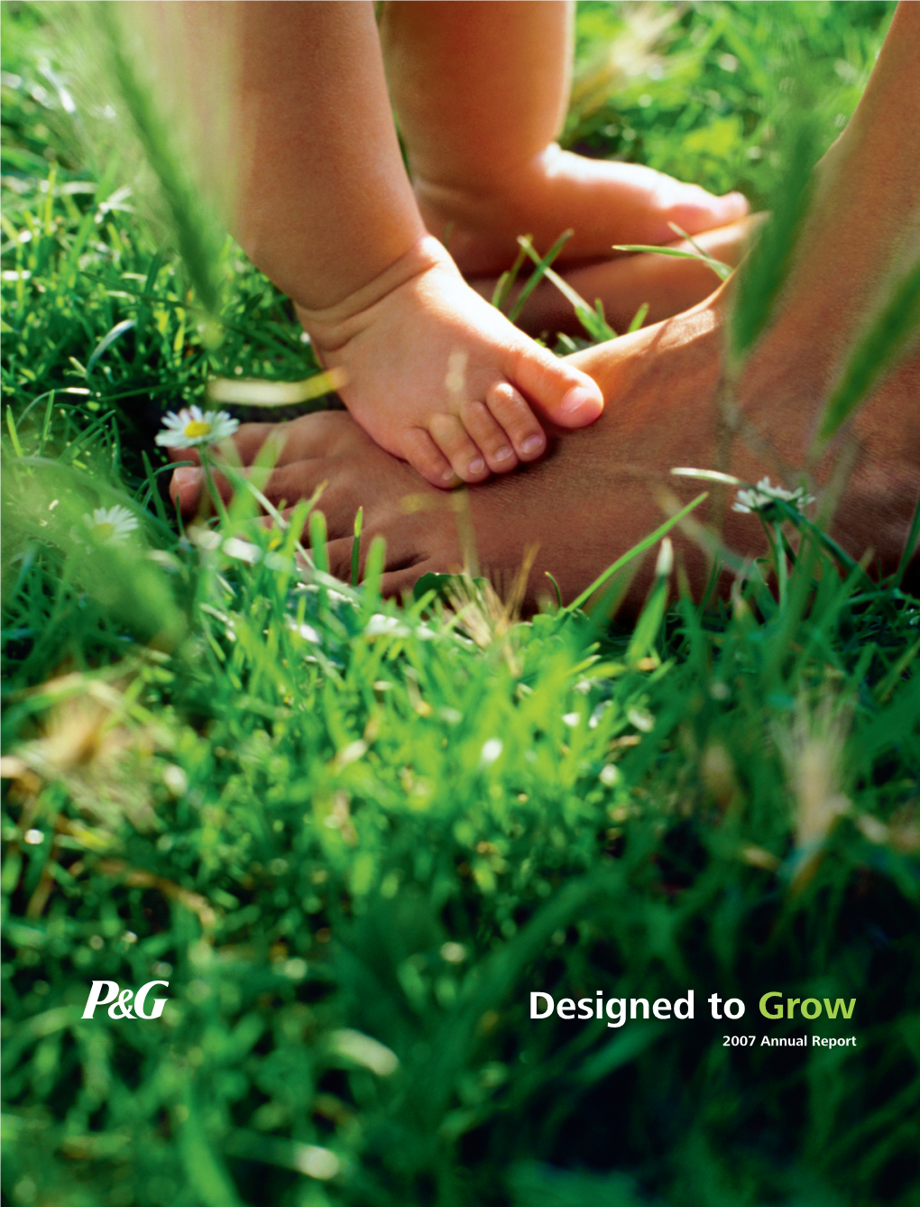 Designed to Grow 2007 Annual Report Contents