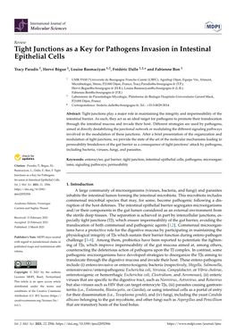 Tight Junctions As a Key for Pathogens Invasion in Intestinal Epithelial Cells