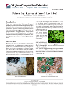 Poison Ivy: Leaves of Three? Let It Be! Daniel L