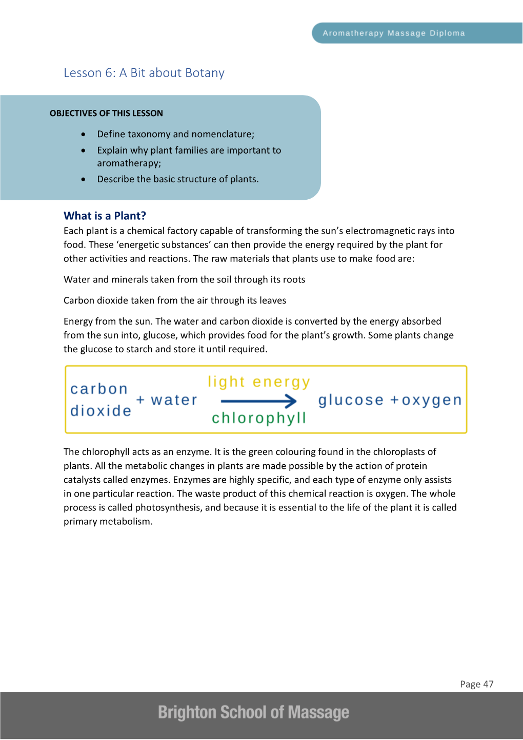 Lesson 6: a Bit About Botany