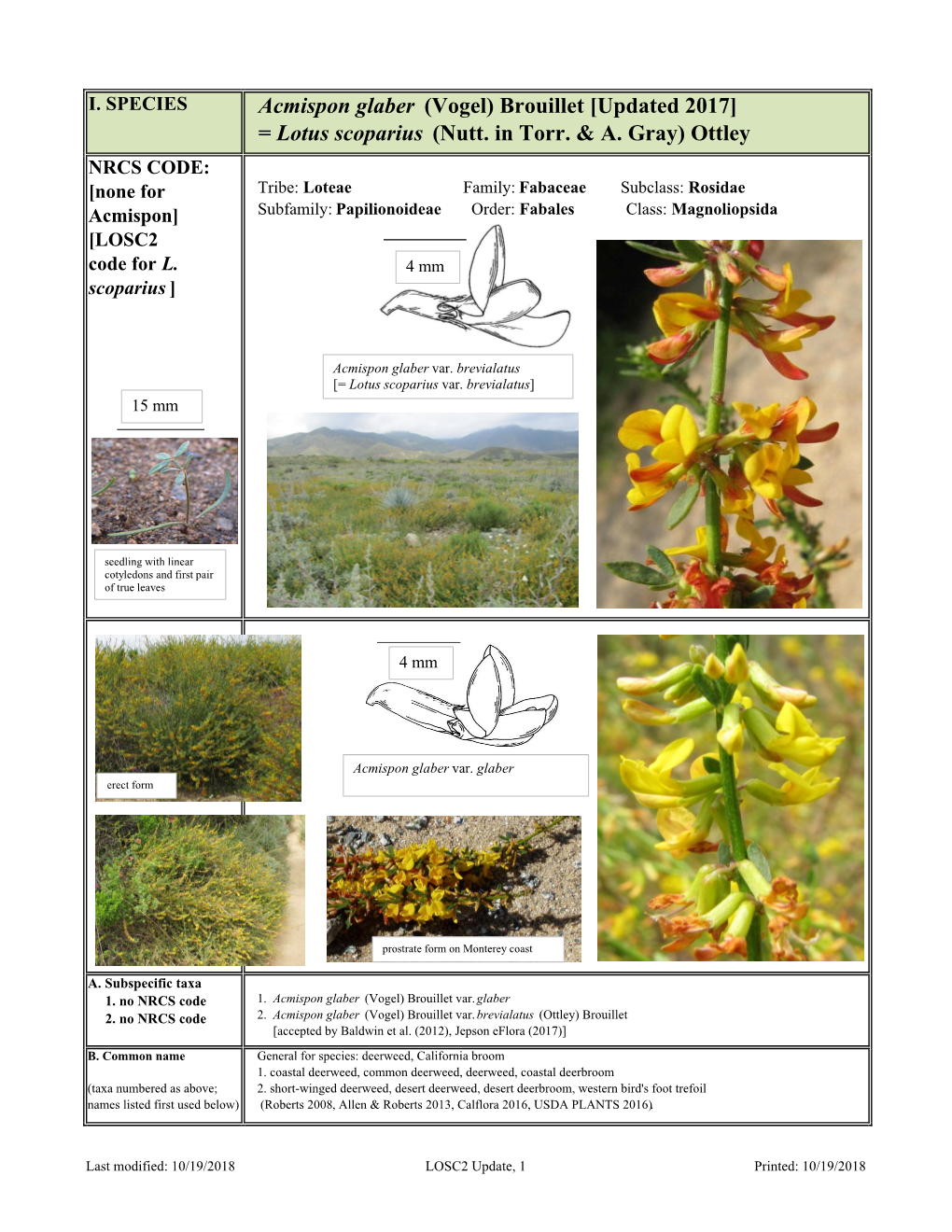 Acmispon Glaber (Vogel) Brouillet [Updated 2017] = Lotus Scoparius (Nutt