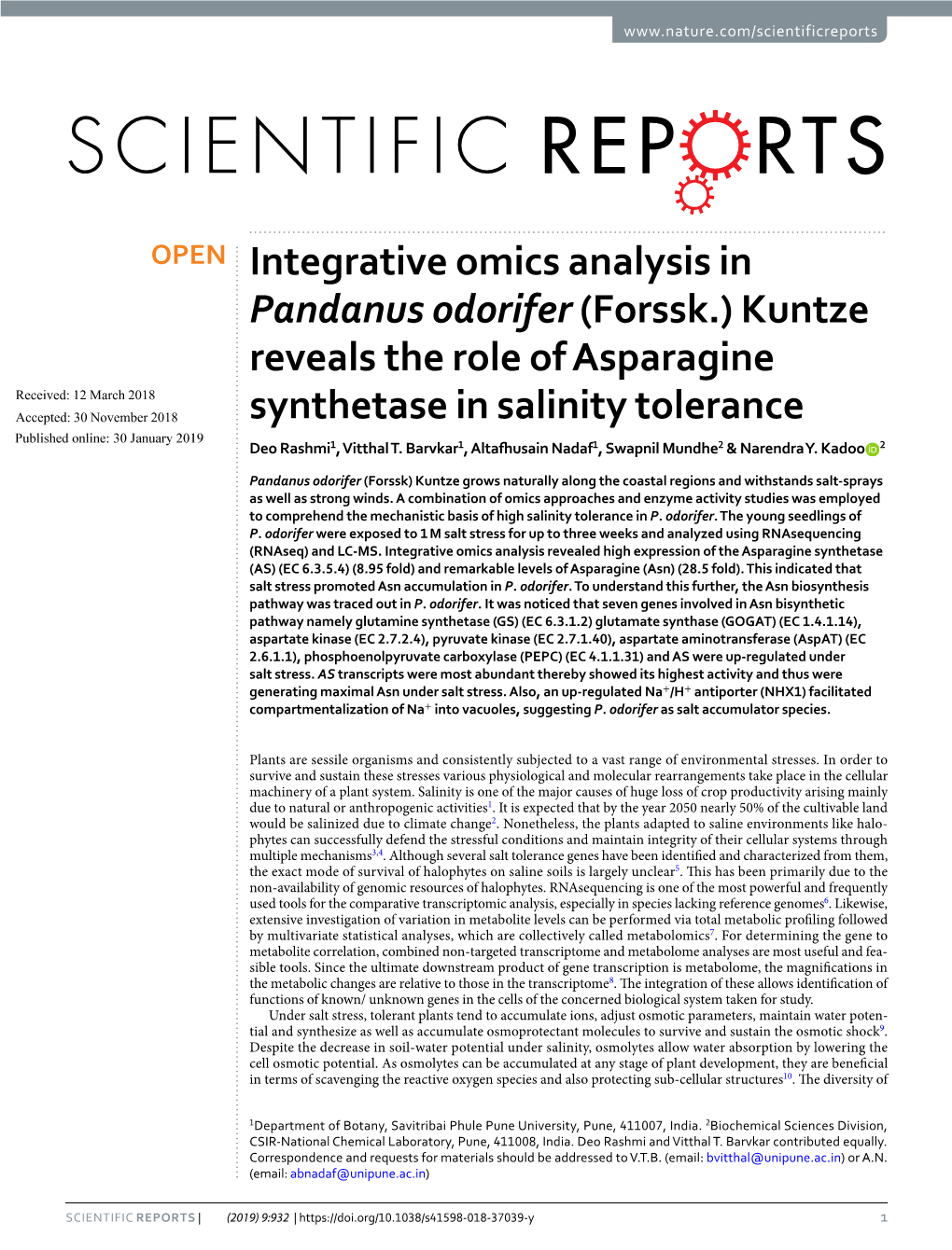 Kuntze Reveals the Role of Asparagine Synthetase in Salinity Tolerance