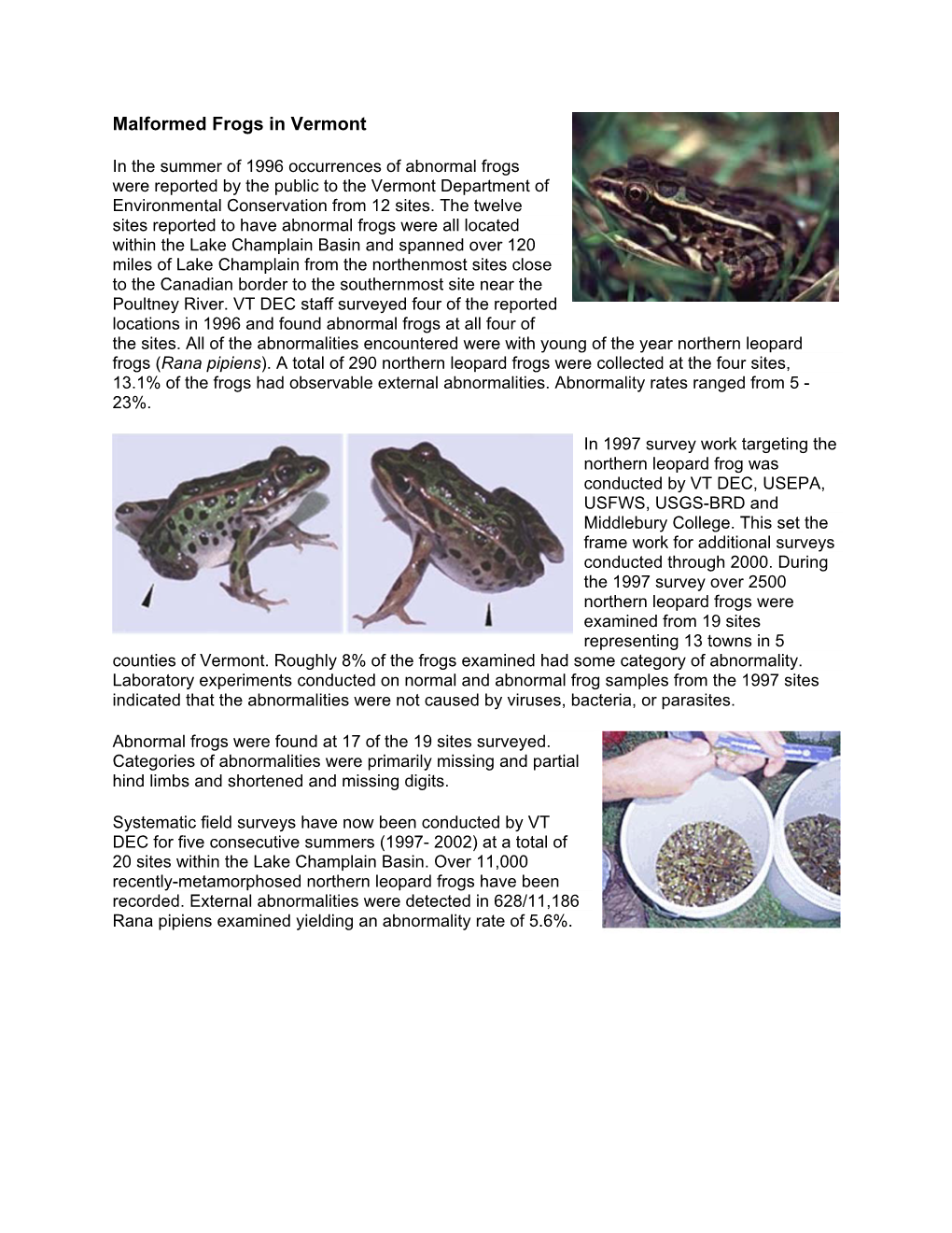 Malformed Frogs in Vermont