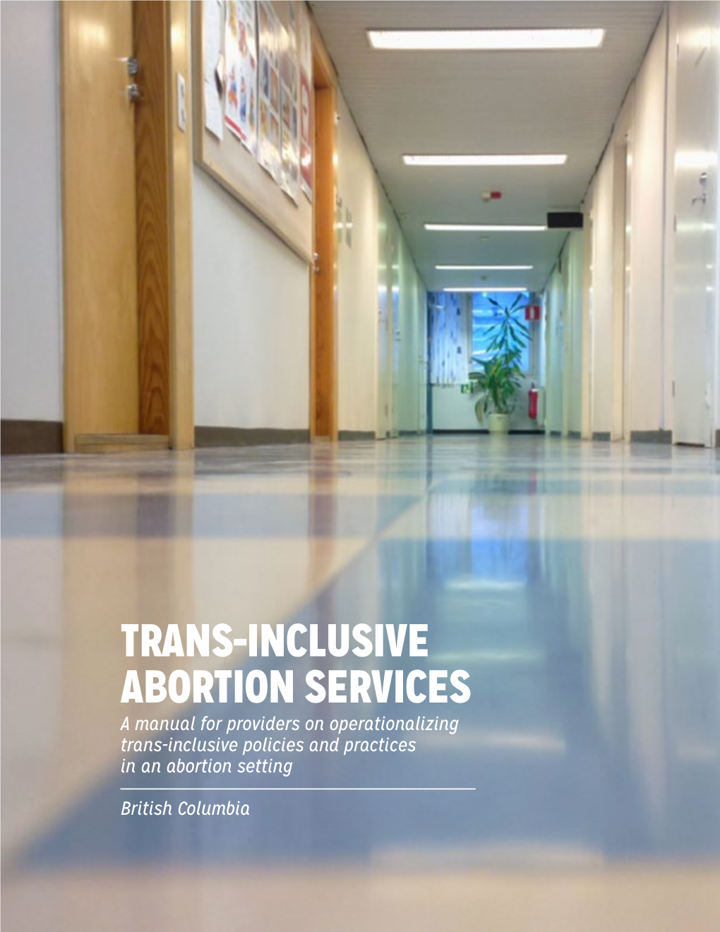 TRANS-INCLUSIVE ABORTION SERVICES a Manual for Providers on Operationalizing Trans-Inclusive Policies and Practices in an Abortion Setting