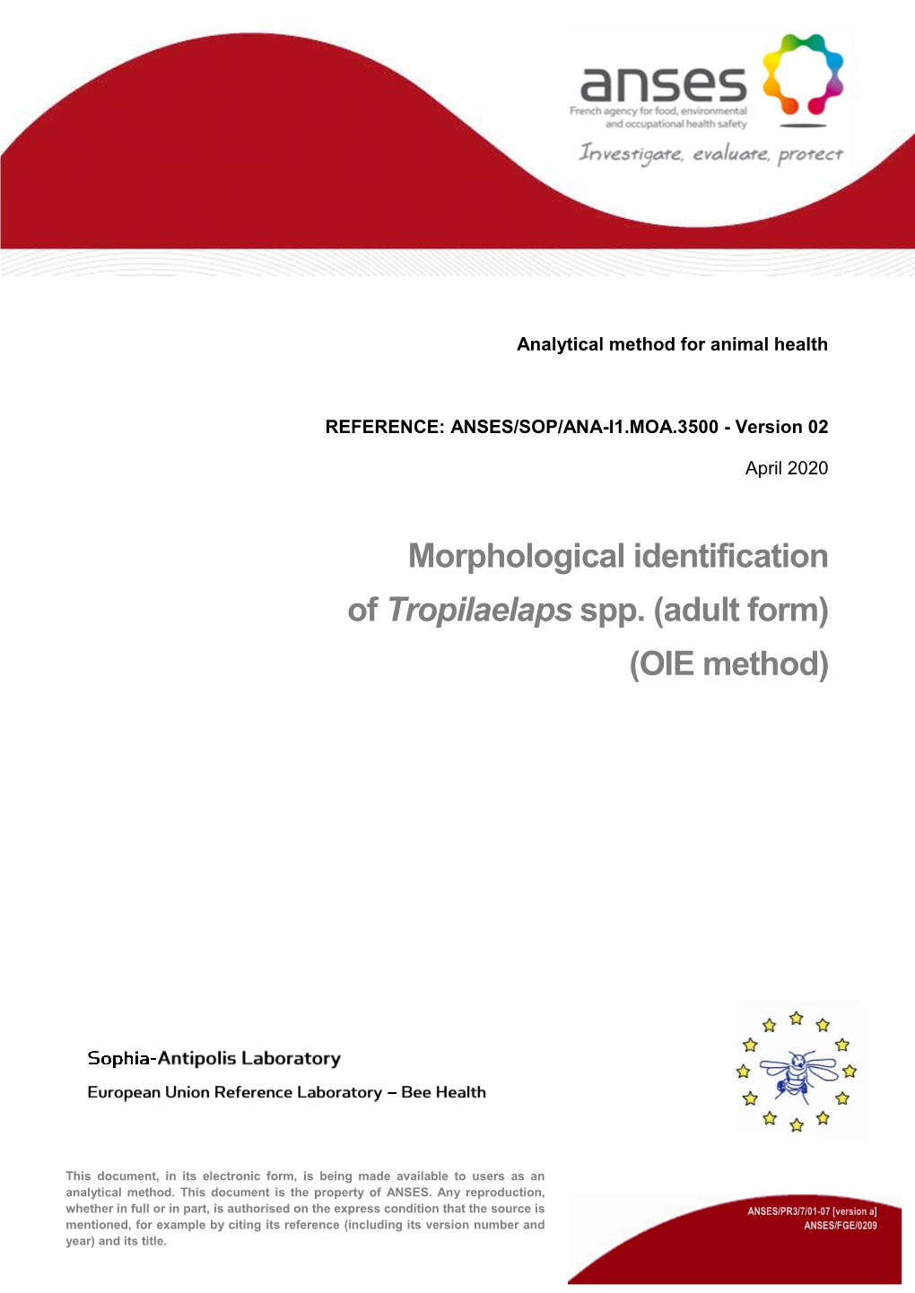 Morphological Identification of Tropilaelaps Spp. (Adult Form) (OIE Method)