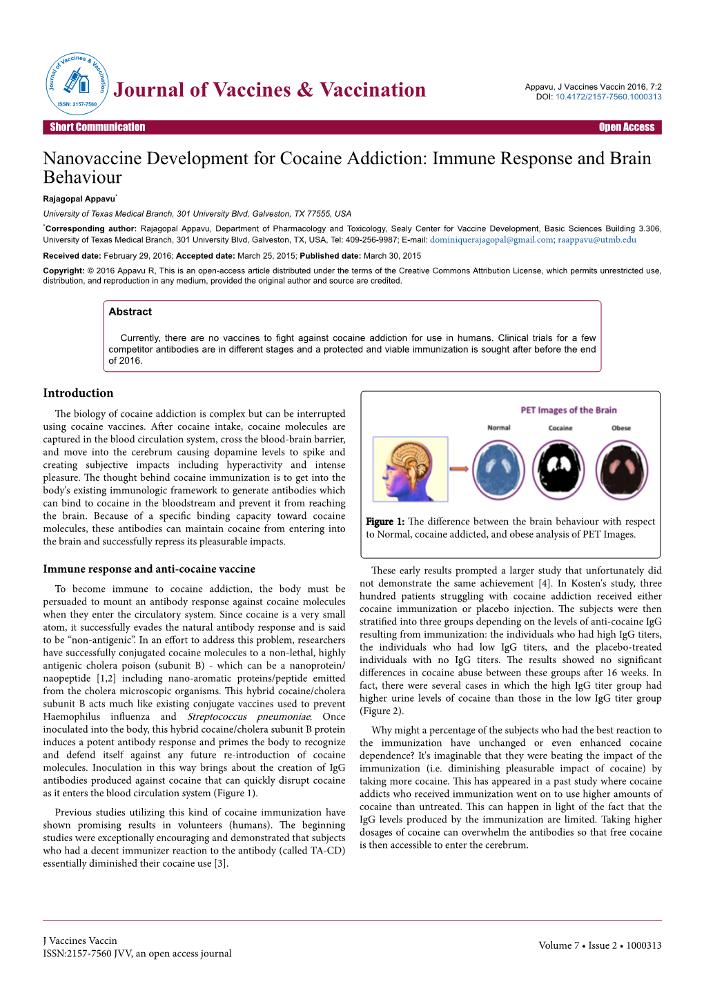 Nanovaccine Development for Cocaine Addiction: Immune