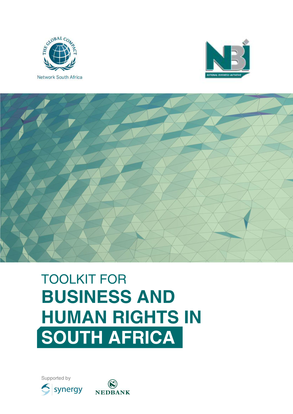 Business and Human Rights in South Africa